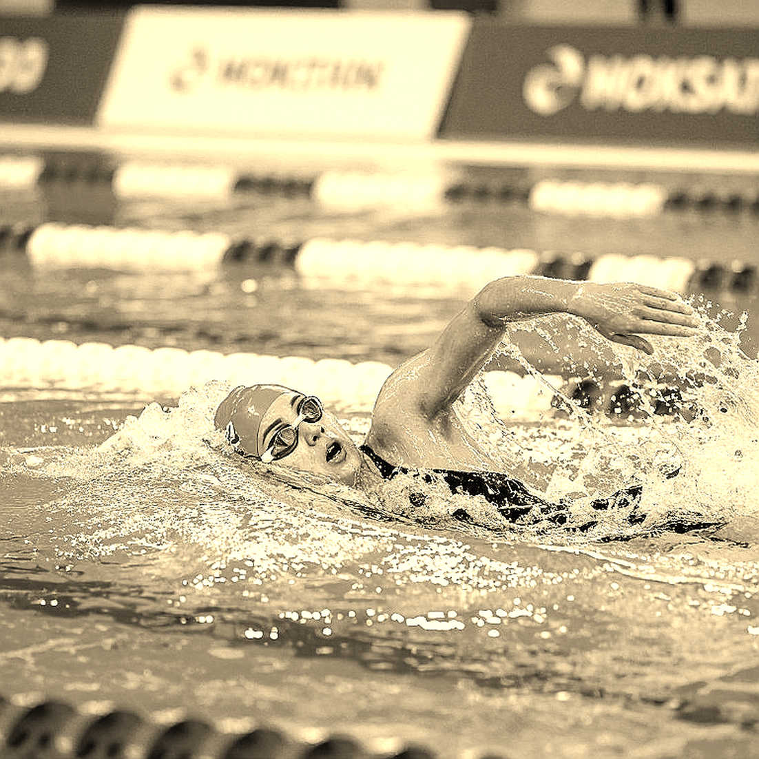 Gui Caribe phá kỷ lục 45.61 giây tại José Finkel Trophy Meet với huy chương vàng 100m bơi tự do SCM