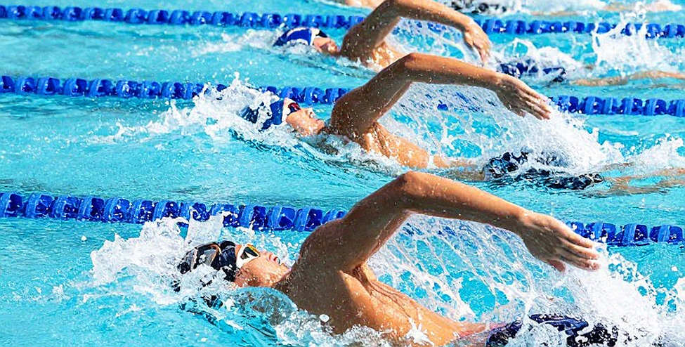 Kết quả Jose Finkel Trophy: Gui Caribe bơi 20.54 giây phá kỷ lục cá nhân 50m tự do, Leonardo Alcântara phá kỷ lục Nam Mỹ ở 800m tự do Kết quả Jose Finkel Trophy: Gui Caribe bơi 20.54 giây phá kỷ lục cá nhân 50m tự do, Leonardo Alcântara phá kỷ lục Nam Mỹ ở 800m tự do